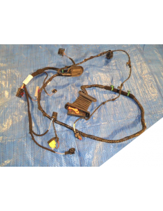 VW GOLF VI PLUS WIĄZKA DRZWI PRAWY PRZÓD