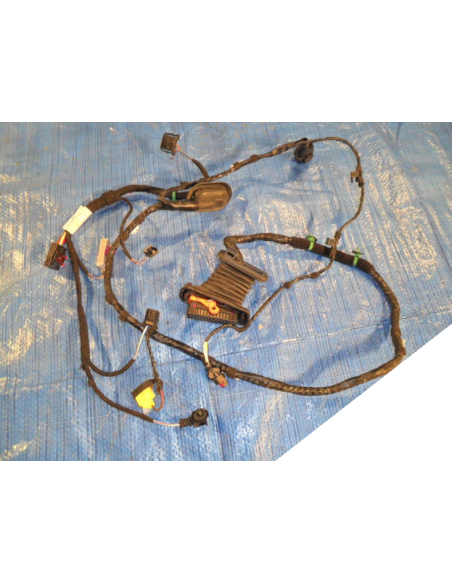 VW GOLF VI PLUS WIĄZKA DRZWI PRAWY PRZÓD