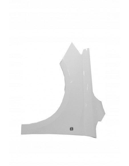 FORD TOURNEO CONNECT MK3 BŁOTNIK LEWY PRZÓD 2KF821105B FROZEN WHITE 7VTA