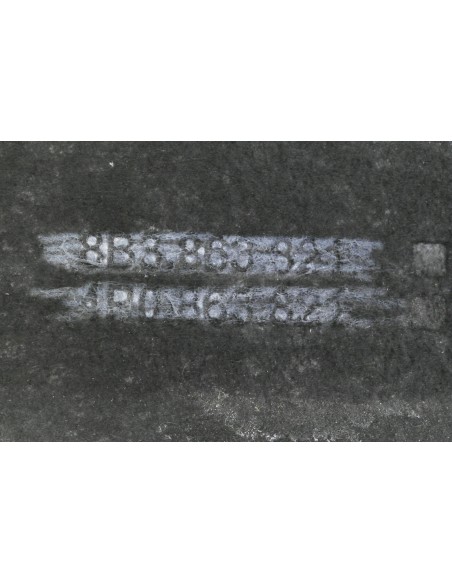 AUDI A5 B10 OSŁONA POD SILNIK EKOLOGIA 4P0863821C