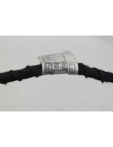 BMW 3 G21 WIĄZKA DRZWI LEWY PRZÓD 5A20627